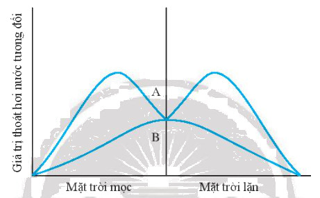 Chart, radar chartDescription automatically generated