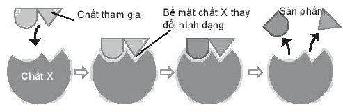 D:\Documents\SÁCH CHƯƠNG TRÌNH MỚI\Ảnh, video phụ trợ\Bài 16 sơ đồ tạo sản phẩm.PNG