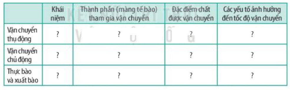 TableDescription automatically generated