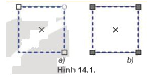 Quan sát hai hình chữ nhật ở Hình 14.1 và tìm ra điểm khác nhau giữa hai hình