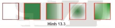 Quan sát các hình sau và nhận xét các hình có điểm gì khác nhau