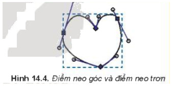 Quan sát hình trái tim xác định xem các điểm được đánh dấu nằm trên Hình 14.4