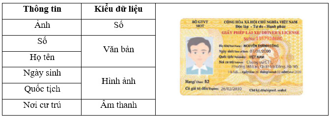 Giấy phép lái xe có các thông tin nêu ở cột bên trái của bảng sau