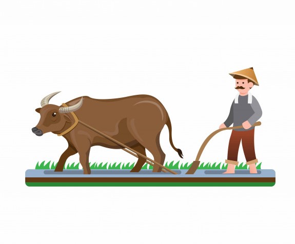 Người Nông Dân Cày Ruộng Với Trâu Nước Phim Hoạt Hình Phẳng Minh Họa Vector  Vector - Free.Vector6.com