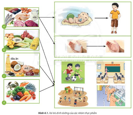 Câu hỏi 1 trang 25 Công nghệ lớp 6