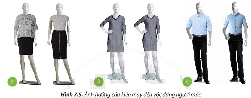 Câu hỏi 5 trang 50 Công nghệ lớp 6