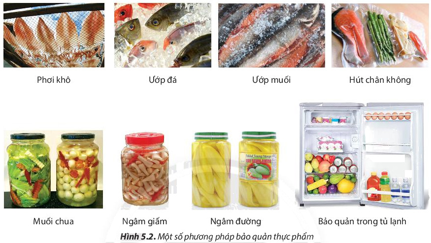 Câu hỏi 2 trang 34 Công nghệ lớp 6