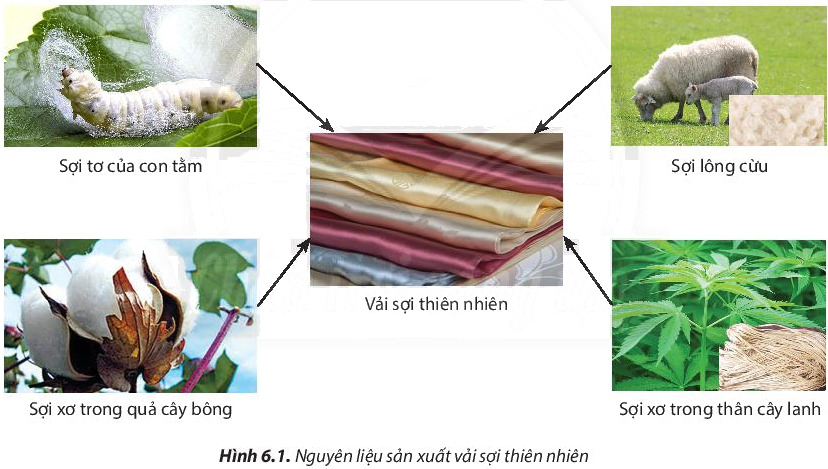 Câu hỏi 1 trang 45 Công nghệ lớp 6