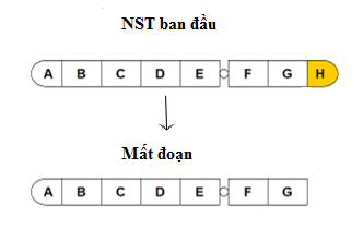 Đột biến mất đoạn