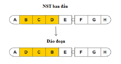 Đột biến đảo đoạn